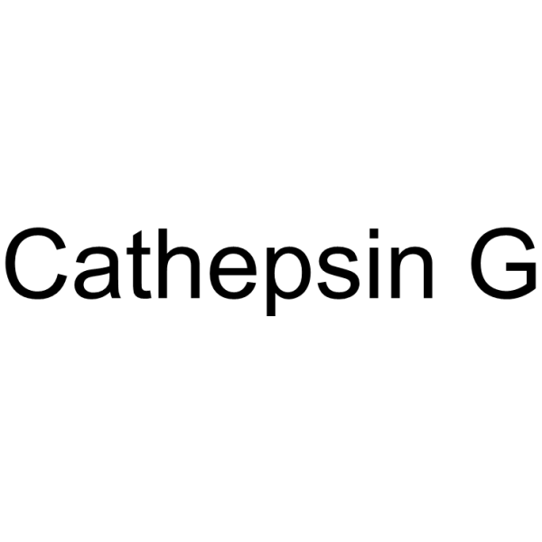 Cathepsin G 107200-92-0